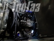 ��� �� ��� 390995  - 