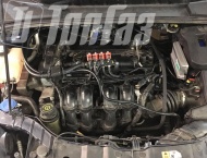 ��� �� Ford Focus - 