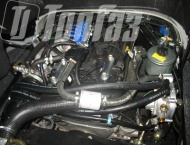 ��� �� ��� 2206 - 