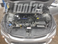 ��� �� Kia Rio  - 