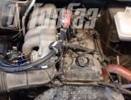 ��� �� ��� Patriot  - 