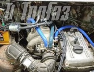 ��� �� ��� 3302 - 