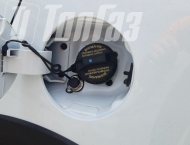 ��� �� Kia Rio  - 