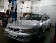 ��� �� Nissan Primera - ����� ���