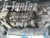 ��� �� Ford Focus - ����������� ����������