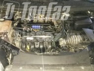 ��� �� Ford Focus - ����������� ����������