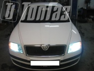 ��� �� Skoda Octavia  - ����� ���