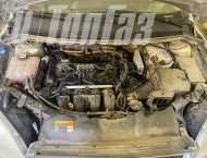 ��� �� Ford Focus - 