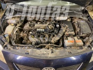 ��� �� Toyota Corolla - 