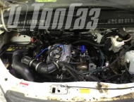 ��� �� ��� 3302 - 