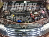 ��� �� Renault Duster - ����������� ����������