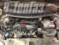 ��� �� Kia Rio  - 