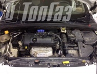 ��� �� Peugeot 308 - 
