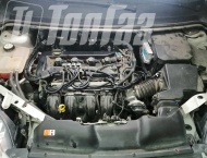 ��� �� Ford Focus  - 