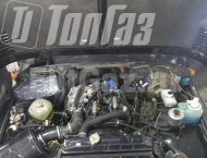 ��� �� ��� 315196 - ����������� ����������