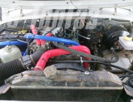 ��� �� ��� 315195 - 