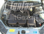 ��� �� Lada Priora - ����������� ����������