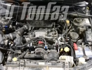 ��� �� Subaru Forester - ����������� ����������