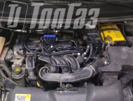 ��� �� Ford Focus - 