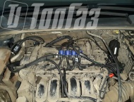 ��� �� Ford Focus - 