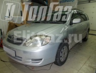 ��� �� Toyota Corolla Fielder - ����� ���