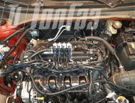 ��� �� Kia Rio - 