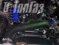 ��� �� ��� 3303 - 