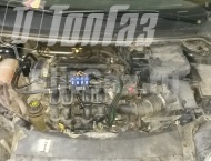 ��� �� Ford Focus - ����������� ����������
