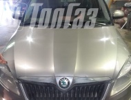 ��� �� Skoda Roomster - 