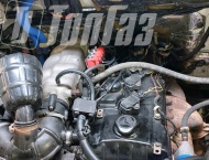 ��� �� ��� 3302 - 