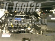 ��� �� Kia Rio - 